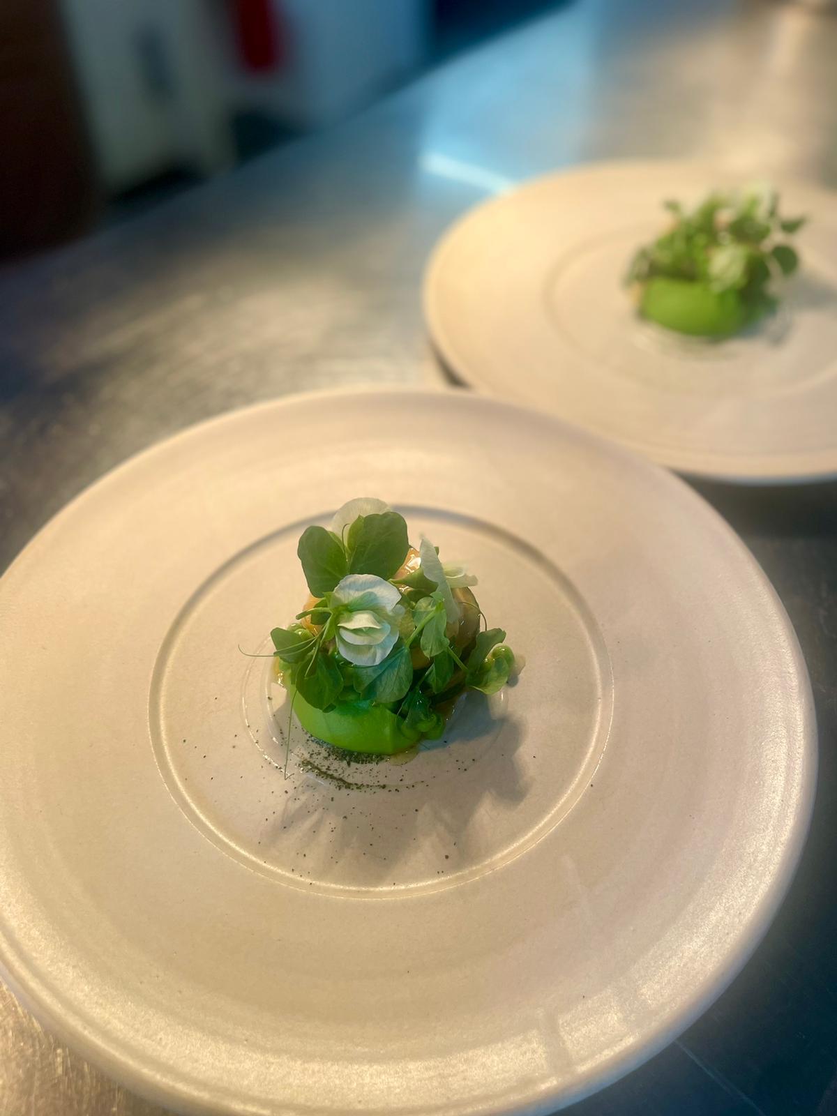 image-gallery-2-photo