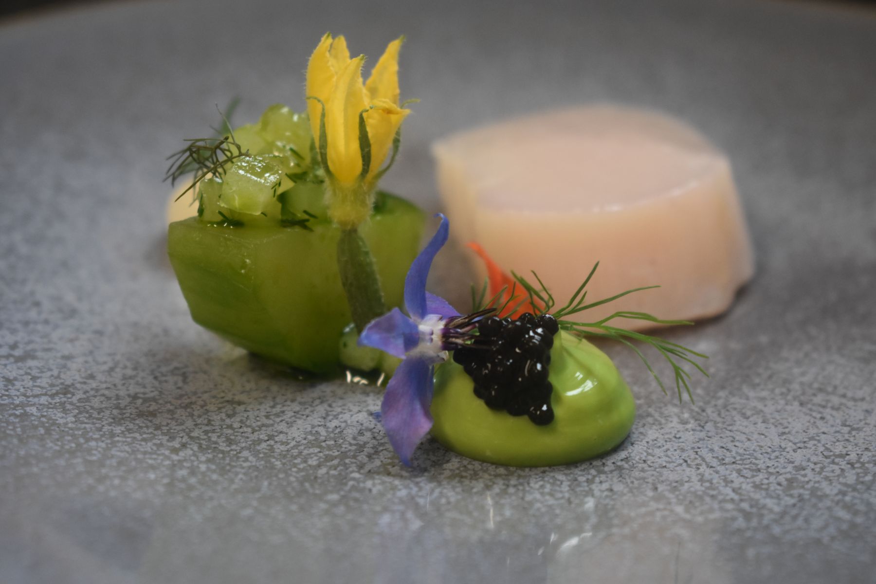 image-gallery-6-photo